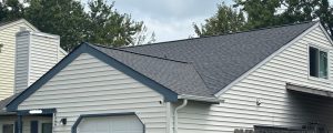 After-HDZ-Pewter-Gray-1824-Aquamarine-Dr-Virginia-Beach-23456-City-Of-Virginia-Beach-Princess-Anne-Borough-Salem-Landstown-High-School-36.7747n-76.1067W
